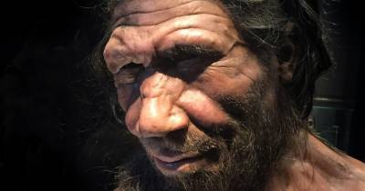 Низкий болевой порог оказался наследством неандертальцев