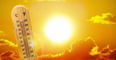 На 16 градусов выше нормы. Россиян предупредили о климатической «войне»