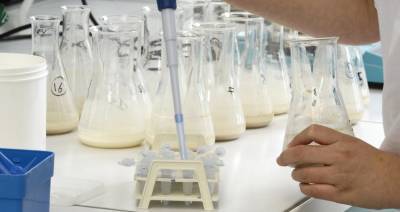 Уровень фальсификации молочных продуктов в Казахстане близок к нулю