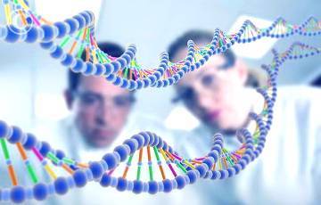 Ученые разгадали секрет генетического бессмертия