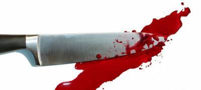 Жительница Карелии смертельным ударом ножа завершила спор