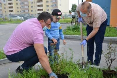 Спирея станет украшением одного из детских садов в Иванове