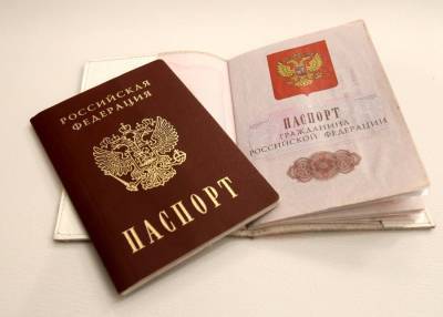Депутат Госдумы предлагает вернуть в паспорт графу "национальность"