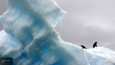 Обнаружена первая активная утечка метана на дне океана в Антарктике