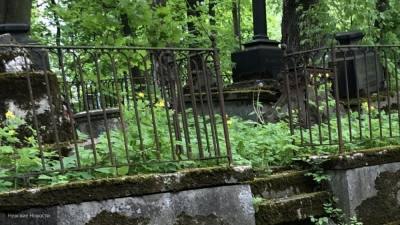 Злоумышленники разрыли могилу умершей онкобольной на кладбище в Ленобласти