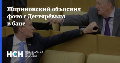 Жириновский объяснил фото с Дегтярёвым в бане