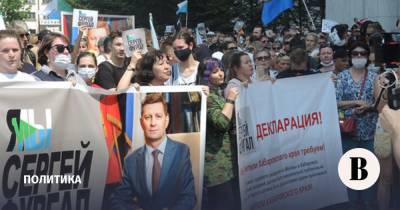 Дегтярев обвинил прилетевших из Москвы иностранцев в организации митингов