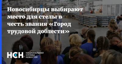 Новосибирцы выбирают место для стелы в честь звания «Город трудовой доблести»