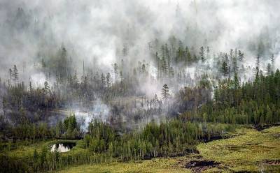 Якутии направили почти полмиллиарда рублей на борьбу с лесными пожарами