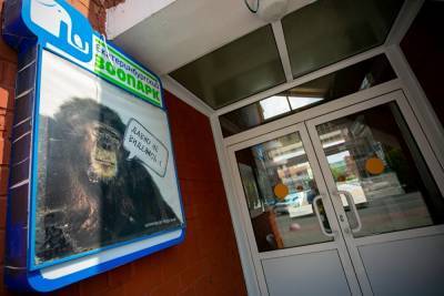 В Екатеринбурге после четырех месяцев простоя открывается зоопарк