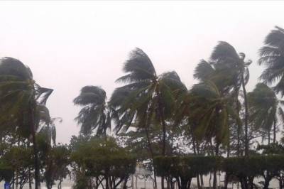 На США надвигается тропический шторм "Ханна"