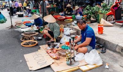 Вьетнам ввел запрет на торговлю дикими животными и их импорт
