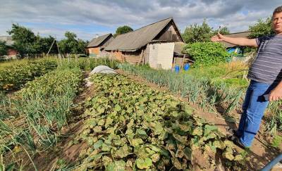 В деревне под Слонимом самолет распылил пестициды прямо на огороды местных жителей. Весь урожай уничтожен, сельчане тоже получили дозу яда