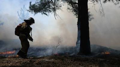 В Свердловской области локализован 21 лесной пожар