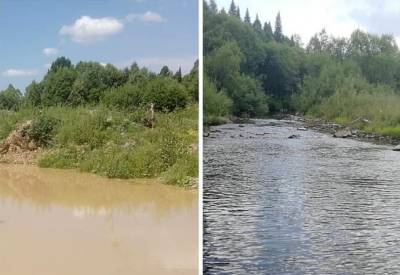 В Кузбассе золотодобытчики очистили реку после рейда властей