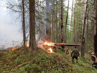 Пожар в заповеднике "Денежкин камень" распространился на 30 гектаров