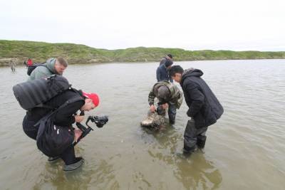 Ученые заявили, что нашли останки огромного мамонта в озере на Ямале