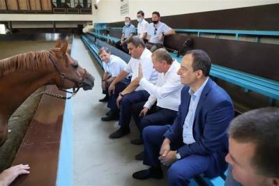 Депутаты проверили, как разводят коров и лошадей в Краснодарском крае