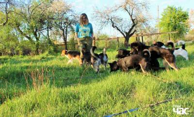 В Светлогорске задержали зооактивистку, которая спасла 26 собак. Ее обвиняют в неповиновении милиции