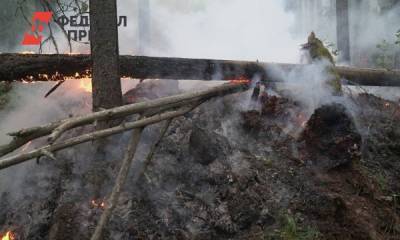 В заповеднике «Денежкин Камень» на Урале пожар охватил 30 гектаров леса
