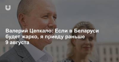 Валерий Цепкало: Если в Беларуси будет жарко, я приеду раньше 9 августа