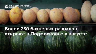 Более 250 бахчевых развалов откроют в Подмосковье в августе