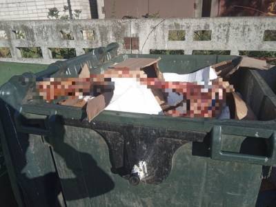 В центре Петрозаводска в мусорном баке нашли части тела трупа