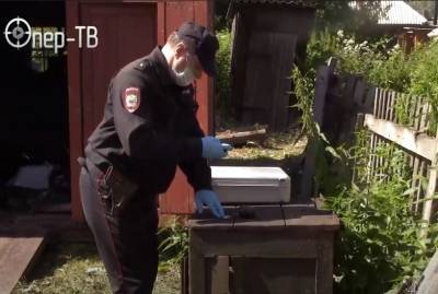 Житель Кузбасса во время уборки в новом доме нашёл гранату