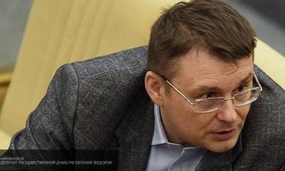 Депутат ГД Федоров призывает применить жесткие меры к провокаторам в Хабаровске