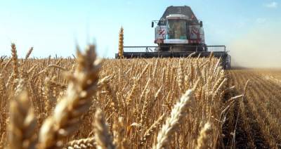 Эксперты не прогнозируют повышения цен на сельскохозяйственную продукцию из-за засухи