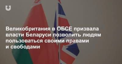 Великобритания в ОБСЕ призвала власти Беларуси позволить людям пользоваться своими правами и свободами