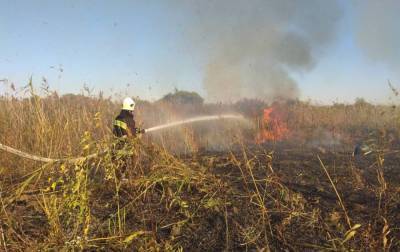В Луганской области снова начался пожар