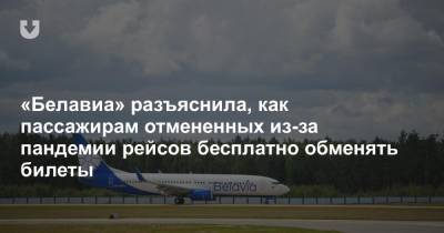 «Белавиа» разъяснила, как пассажирам отмененных из-за пандемии рейсов бесплатно обменять билеты
