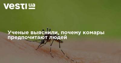Ученые выяснили, почему комары предпочитают людей