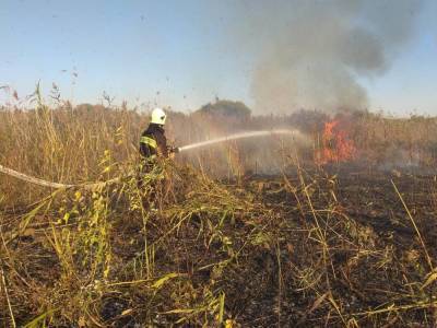 В Луганской области вновь произошел пожар – ГСЧС