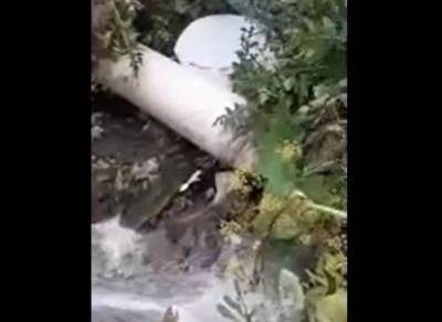 Видео: в Рязани канализационные стоки текут прямо в пруд