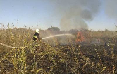 Пожар в Луганской области локализовали