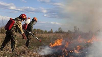 2,6 млрд. рублей выделило Правительство РФ на борьбу с лесными пожарами