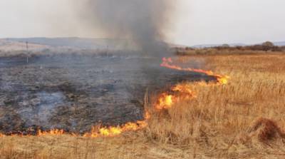 В Луганской области вспыхнул новый пожар