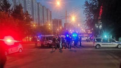Посол Армении назвал ночные драки в Москве организованной провокацией