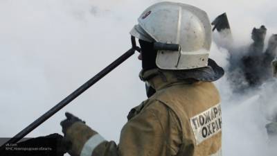 Спасатели выясняют причину пожара в новостройке на юго-востоке Москвы