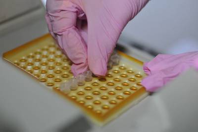 Количество заболевших коронавирусом в Липецкой области продолжает снижаться