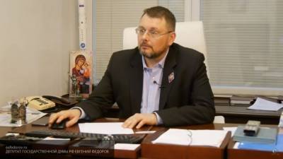 Депутат Федоров призвал наказать организаторов провокаций в Хабаровске