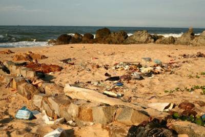 Пластмассовый мир победил: рекордное загрязнение мирового океана ужаснуло экологов