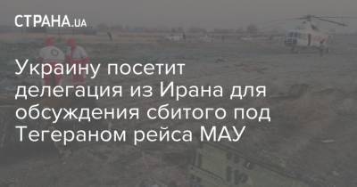 Украину посетит делегация из Ирана для обсуждения сбитого под Тегераном рейса МАУ