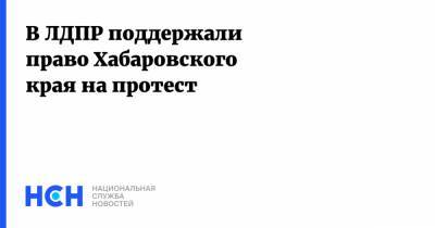В ЛДПР поддержали право Хабаровского края на протест