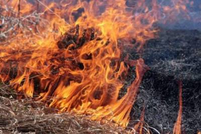 В Луганской области вновь вспыхнул пожар: Горит травяная подстилка