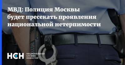МВД: Полиция Москвы будет пресекать проявления национальной нетерпимости