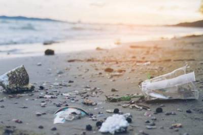 К 2040 году мир погрязнет в 1,3 миллиардах тонн пластикового мусора