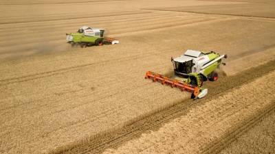 В Российском зерновом союзе оценили ситуацию с ценами на фоне засухи